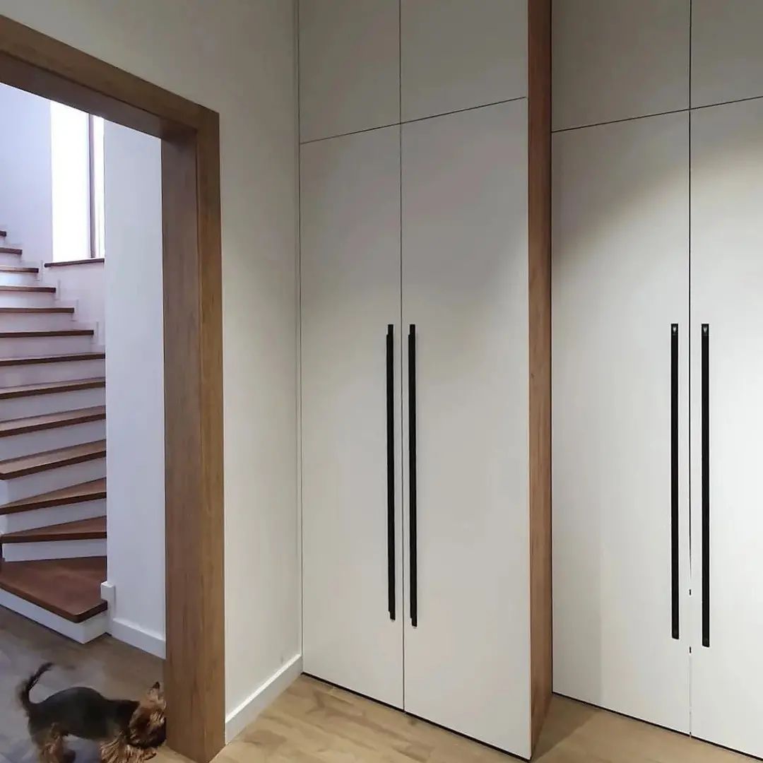 Шкафы-Шкаф по индивидуальному размеру «Модель 2»-фото2